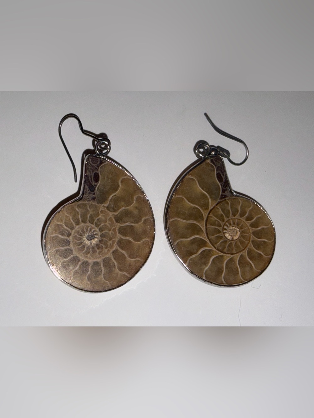 Natural Ammonite Fossil Dangle Earrings 1.5” Polished Spiral Boho Jewelry